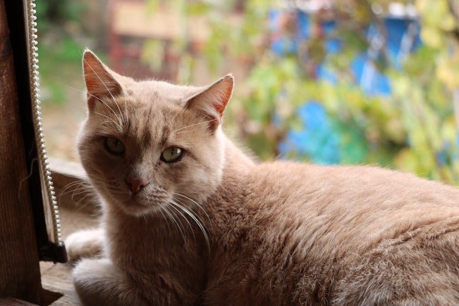 外傭照顧長者的重要性與實用建議