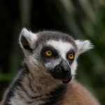 透明質酸注射:打造年輕肌膚的秘密武器