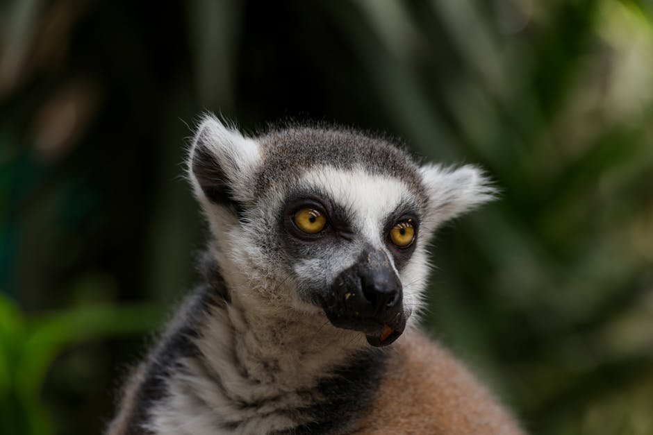 透明質酸注射：打造年輕肌膚的秘密武器