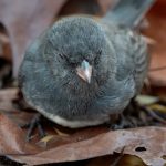 產後護理的重要步驟：專業且溫和的文化展示