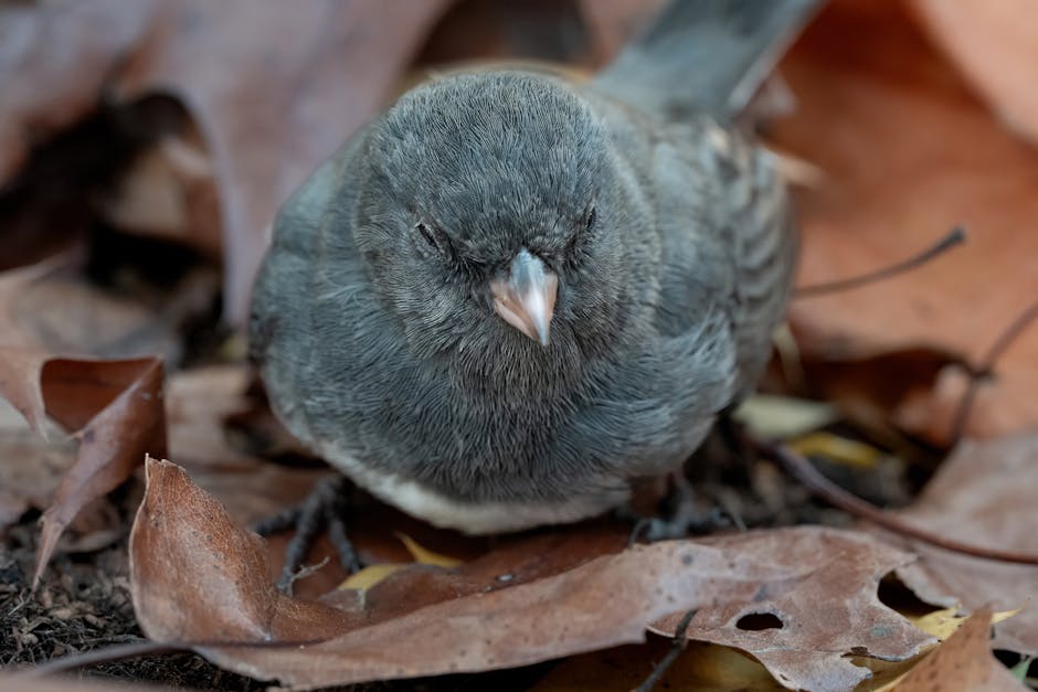 產後護理的重要步驟：專業且溫和的文化展示
