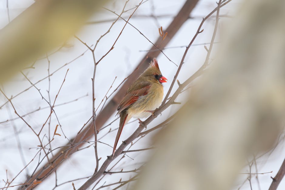 激光脫面毛：探索自信與美麗的哲學旅程