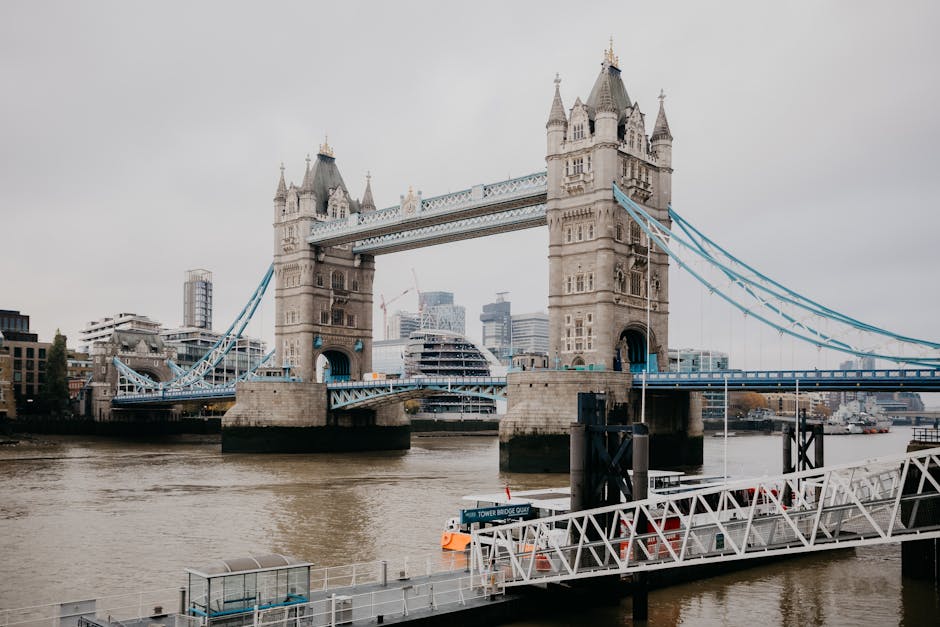 # 滅蟲服務：專業分析與教育指南